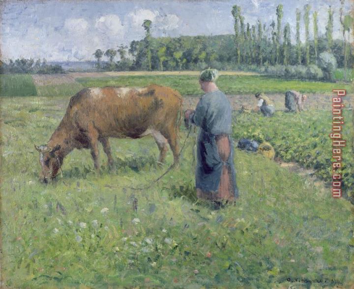 Camille Pissarro Girl Tending a Cow in Pasture